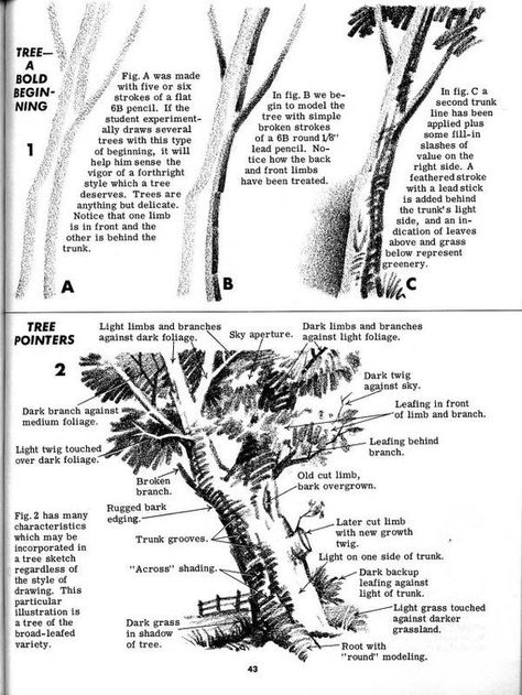 Reference Background, Painting Idea For Beginners, Book Landscape, Landscape Drawing Tutorial, Nature Sketches, Tree Sketch, Drawing Scenery, Perspective Drawing Lessons, Limited Palette