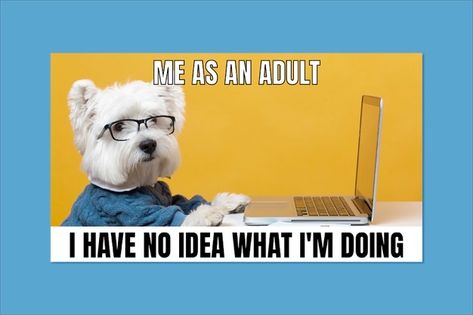 Funny being an adult meme | Free Vector #Freepik #freevector #dog #cute #phrases #funny Engagement Board Ideas, Employee Engagement Board, Heat Meme, Back To School Meme, Engagement Board, Money Meme, Queen Meme, Employee Morale, Meme Design