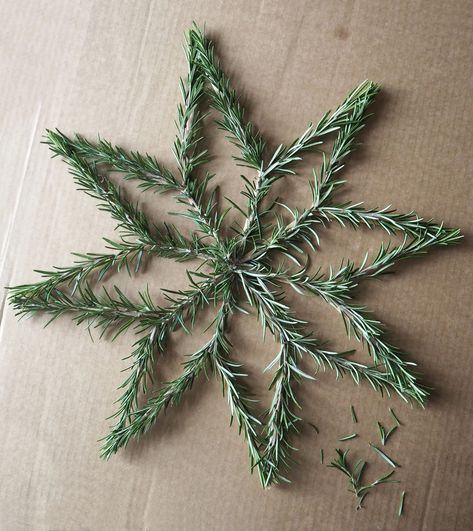 Rosemary Wreath Diy, Easy Christmas Decor Ideas, Red Trees, Inexpensive Christmas, Natural Christmas Decor, Christmas Decoration Ideas, Simple Christmas Decor, Christmas Tree Garland, The Seventies