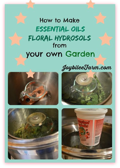 How to make essential oils at home Make Essential Oils, Essential Oil Still, Farm Diy, Essential Oil Distiller, Making Essential Oils, How To Make Oil, Essential Oils Herbs, Herbal Healing, Diy Essential Oils