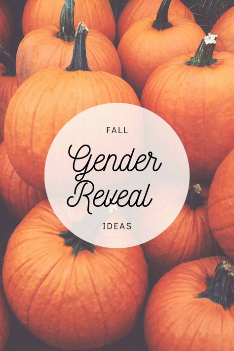 Gender Reveal Ideas Fall Theme, Gender Reveal Picture Ideas, Fall Gender Reveal Ideas, Fall Gender Reveal Party, Pumpkin Gender Reveal, Gender Reveal Unique, Gender Reveal Party Theme, Gender Reveal Themes, Gender Reveal Ideas