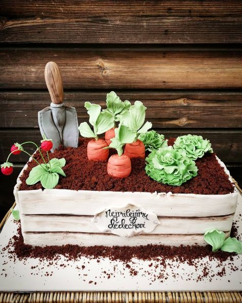 Gardener Cake For Men, Gardener Birthday Cake, Gardening Cake Ideas, Gardening Birthday Cake, Plant Pot Cake, Vegetable Cake Design, Simple Garden Cake, Birthday Cake Garden Theme, Plant Birthday Cakes