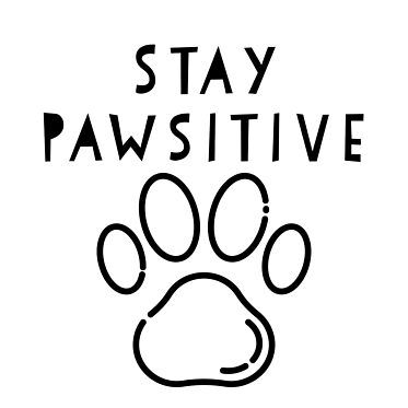 Stay Pawsitive cute pet dog cat owner lover quote phrase Pet Quotes Love, Cute Pet Quotes, Purr Quotes, Pet Quotes Inspirational, Pet Lover Quotes, Dog Quotes Short, Pet Love Quotes, Animal Lover Quotes Feelings, Pawsome Quotes