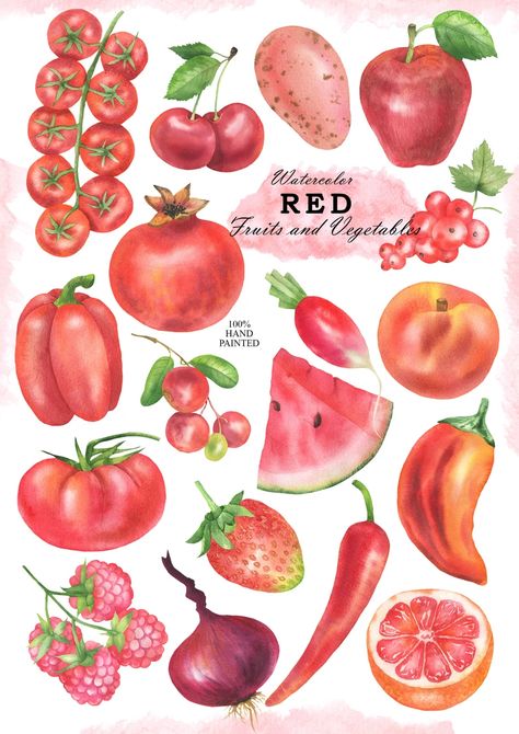 Watercolor Red Fruit and Vegetables Clipart Farm and Kitchen - Etsy Ukraine Red Fruit And Vegetables, Veggie Watercolor, Fruits And Vegetables Illustration, Red Veggies, Watercolor Fruits And Vegetables, Red Fruits And Vegetables, Vegetables Watercolor, List Of Veggies, Watercolor Vegetables