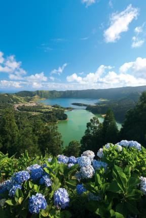 Azores Islands, Azores Portugal, São Miguel Island, Portuguese Culture, Blue Hydrangeas, Vacation Goals, Spain And Portugal, Beautiful Places In The World, Short Trip