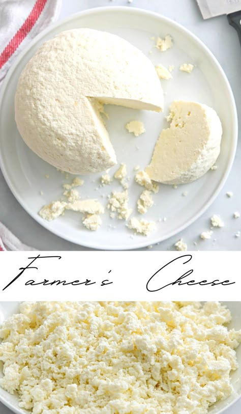 Easy Farmers Cheese, How To Make Farmers Cheese, Soft Cheese Recipes, Mozarella Cheese Recipe, Homemade Farmers Cheese, Cheese Recipes Easy, Farmers Cheese Recipes, Fresh Cheese Recipe, Farmer Cheese