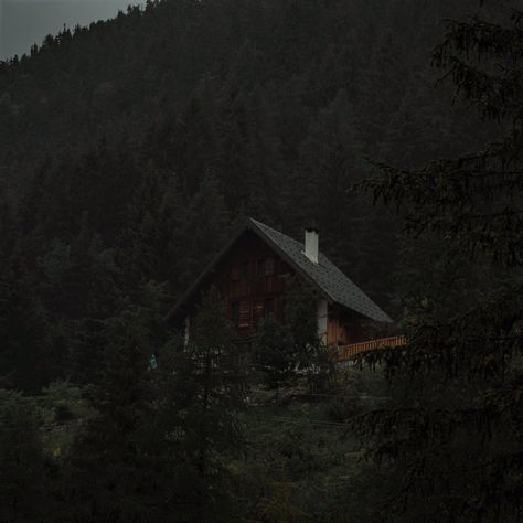 Cabin In The Woods Aesthetic, Dark Naturalism, Boho Background, Dark Forest Aesthetic, Cabin Aesthetic, Forest Cabin, Dark House, Hiding Face, Adventure Aesthetic