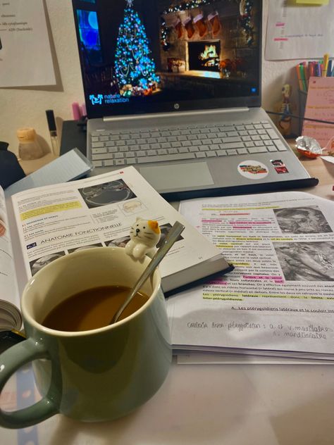 #christmas #revision #dentalstudentlife #cocooning #coffee #anatomy #exam #chill Christmas Studying Aesthetic, Christmas Study Aesthetic, Coffee Anatomy, Winter Manifestations, Winter Studying, Romanticising Winter, Revision Motivation, Winter Study, Romanticise School