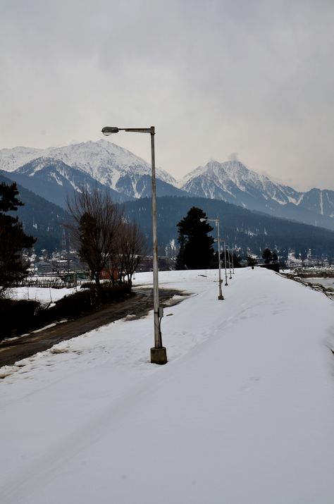 A snow covered road at Pahalgam. Pahalgam Kashmir, Kashmir Tour, North India, Jammu And Kashmir, Whatsapp Dp, India Travel, Winter Season, Lamp Post, Travel Blog