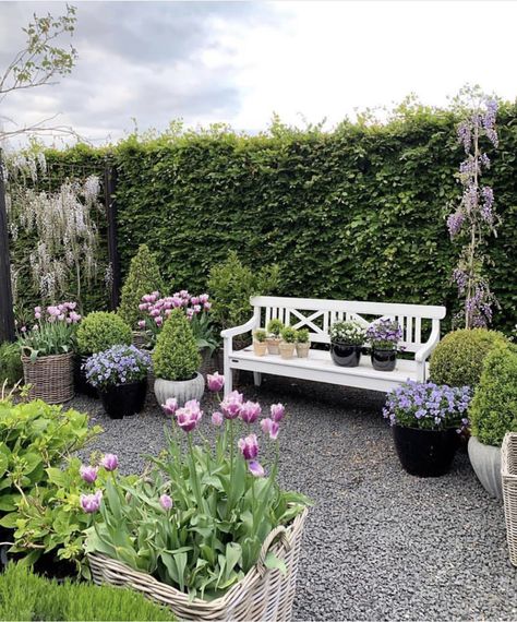 Garden Wisteria, Garden Bench Ideas, Provence House, Vegetable Garden Beds, English Garden Design, Small Garden Landscape, Cascading Flowers, Old Bicycle, Potager Garden