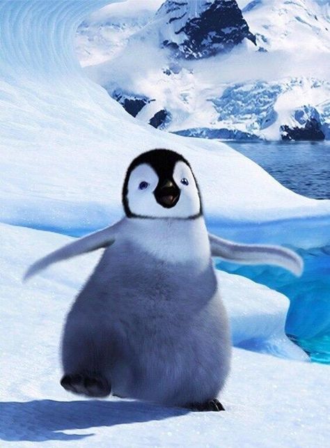 The epitome of a happy feet penguin Happy Feet Penguin, Penguin Wallpaper, Penguin Pictures, Penguins Funny, Fauna Marina, Cutee Animals, Penguin Love, Cute Penguin, Baby Penguins