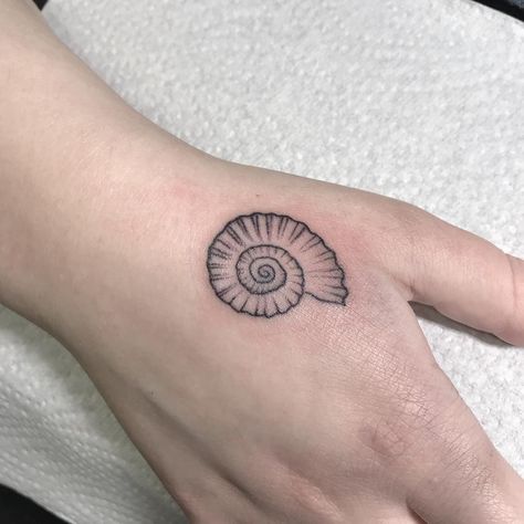 Knee Spiral Tattoo, Snail Shell Tattoo, Geology Tattoo, Ammonite Tattoo, Fossil Tattoo, Trad Sleeve, Transformation Tattoo, Flower Leg Tattoos, Arrow Tattoos For Women