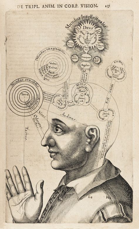 Diagram of the Human Mind – Product – The Public Domain Review Wellcome Collection, Human Head, Free Mind, A4 Poster, Human Mind, Antique Prints, Art Reproductions, Photographic Prints, Kitchen Storage