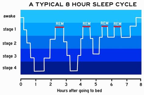 Stages of Sleep and Sleep Cycles Sleep Statistics, Sleep Stages, Sleep Inertia, Sleep Talking, Stages Of Sleep, Rem Sleep, Sleep Studies, Restorative Sleep, Trouble Sleeping