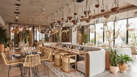 Scottsdale Restaurants, Black Velvet Sofa, Arizona Restaurants, Tropical Interior Design, Tropical Interior, Modern Mexican, H Design, Chic Spaces, Thai Restaurant