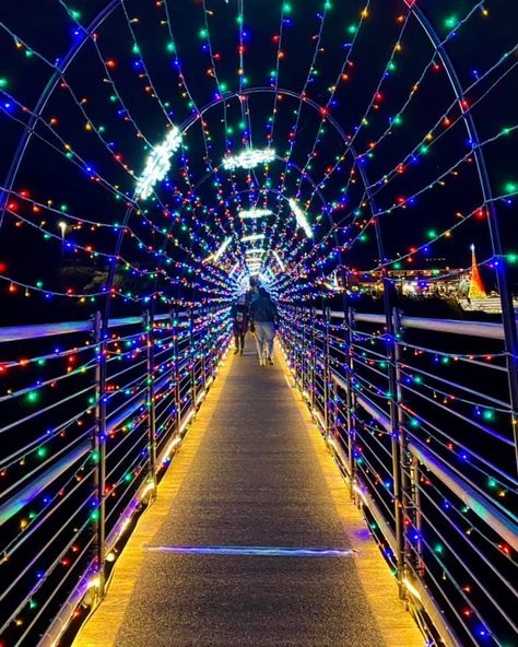 Tennessee Tree Top Sky Walk, Gatlinburg Tennessee Sky Bridge, Gatlinburg Sky Bridge, Sky Bridge Gatlinburg, Gatlinburg Tennessee Winter, Connecting Houses, Gatlinburg Tennessee Christmas, Christmas Road Trip, Gatlinburg Christmas