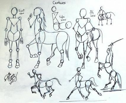 How To Draw A Centaur, Centar Reference, Centaur Drawing Reference, Centaur Poses Reference, Centaur Anatomy, Centaur Sketch, Cat Centaur, Centaur Drawing, Hand Drawing Reference