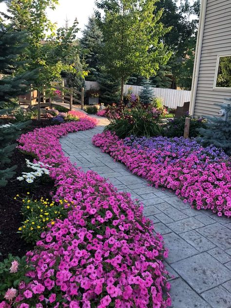 Walkway Flowers Borders, Midwest Front Yard Landscaping Ideas, Garden Fairy Costume, Front Yard Flowers, Dream Garden Backyards, Garden River, Pool Bed, Flower Yard, Front Lawn Landscaping