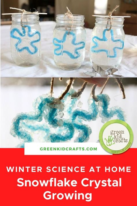 snowflake crystal craft Salt Crystal Snowflakes, Snowflake Science, Winter Science Projects, Snowflakes Science, Grow Your Own Crystals, Winter Science Experiments, Crystal Growing, Winter Science, January Activities