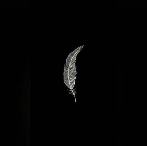 Black aesthetic. Feather. Art Black Aesthetic Dps For Whatsapp, Black Feather Aesthetic, Black Feathers Aesthetic, Feathers Aesthetic, Feather Aesthetic, Black Dps, Black Fairy Wings, Fairy Wings Aesthetic, Feather Icon