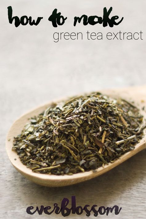 Green tea extract: all of green tea's benefits in a potent, concentrated form. You can buy it, but it’s NOT hard to learn how to make green tea extract! How To Make Green, How To Make Greens, Green Tea Benefits, Tea Benefits, Italian Cooking, Green Tea Extract, Natural Home Remedies, Medicinal Herbs, Diy Natural Products