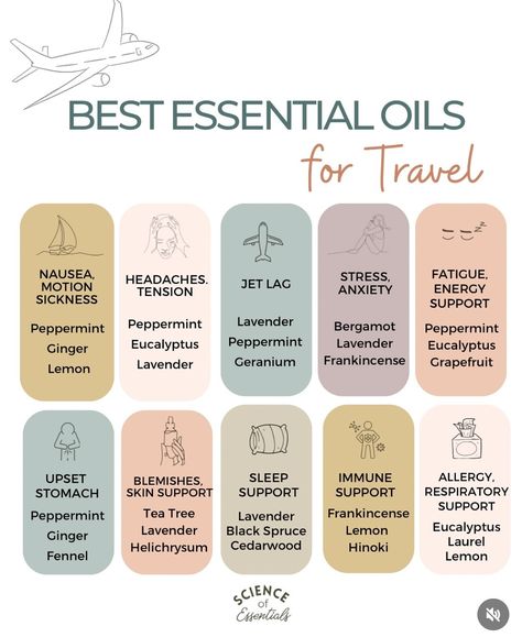 Essential Oil List, Types Of Essential Oils, List Of Essential Oils, Essential Oils Guide, Oil Blends, Young Living, Essential Oil Blends, Oil Blend, Aromatherapy