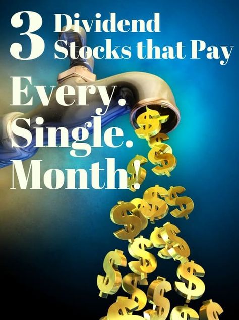 Stocks That Pay Monthly Dividends, Best Dividend Paying Stocks, Monthly Dividend Stocks, Dividend Snowball, Money Management Activities, Investing Apps, Money Saving Methods, Dividend Income, Dividend Investing