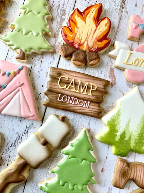 Smores Cookie Decorated, Camping Birthday Cookies Decorated, Bonfire Cookies Decorated, Outdoor Cookies Decorated, Smore Cookies Decorated, Glamping Cookies Decorated, Cabin Cookies Decorated, Camp Cookies Decorated, Camping Sugar Cookies Decorated