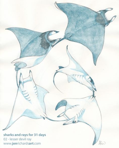 Fish With Legs Drawing, Mantaray Art, Mantaray Drawing, Sting Ray Art, Rays Drawing, Mobula Ray, Stingray Drawing, Stingray Art, Ray Drawing