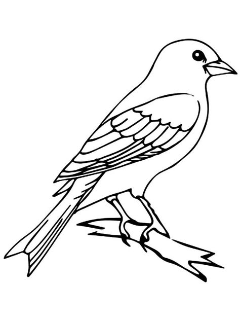 Mockingbird Drawing Easy, Bird Outline, Canary Birds, Tree Coloring Page, Bird Coloring Pages, Online Coloring Pages, Funny Birds, Outline Drawings, Tree Drawing