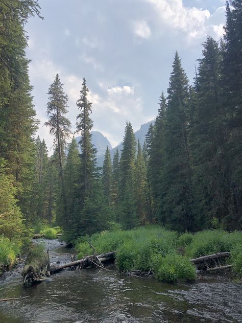 Midwest Roadtrip Aesthetic, West Coast America Road Trip, Usa West Coast Road Trip, Forest Road Trip Aesthetic, Midwest Road Trip, West Coast Road Trip, Perfect Summer, West Coast, Small Towns