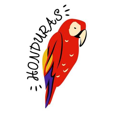 Scarlet macaw honduras illustration #AD , #macaw, #honduras, #illustration, #Scarlet Honduras Drawing, Honduras Tattoo Ideas, Honduras Tattoo, Honduras Aesthetic, Macaw Drawing, Honduras Art, Latin Festival, Orchid Illustration, Honduras Flag