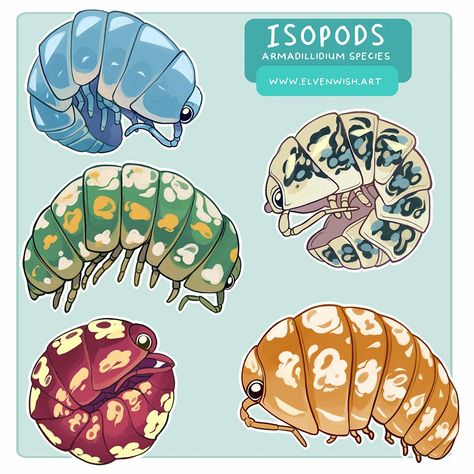 Beth P 🌱 on Twitter: "Pod pals!⭐… " Cute Isopod Art, Isopod Character Design, Isopod Illustration, Isopod Drawing, Cute Isopod, Isopod Art, Fantasy Bugs, Crow Sketch, Bug Reference