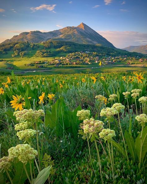 Visit Colorado on Instagram: “We'll just leave this here so you can enjoy the view. 🤩 📸: @captaincoloradophotography” Crested Butte Colorado, Colorado Photography, Visit Colorado, Crested Butte, 2023 Vision, Gods Creation, Local Area, The View, Beauty Fashion