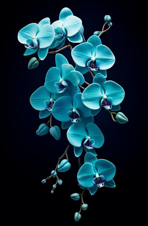 Orhidee Flowers, Pisces Aura, Orchid Flower Painting, Aquarius Energy, 2025 Journal, Wallpapers Flowers, Blue Orchid Flower, Phone Screensaver, Dreamy Images