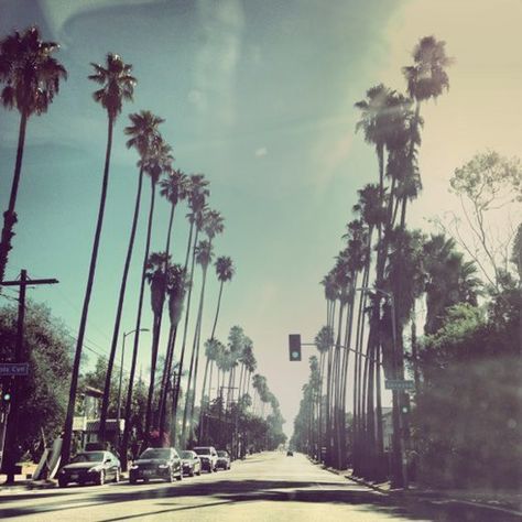 Bright Lights Big City, Summer Tumblr, Los Angeles Aesthetic, 2010s Aesthetic, Interiors Kitchen, City Of Angels, California Love, California Dreamin', California Dreaming