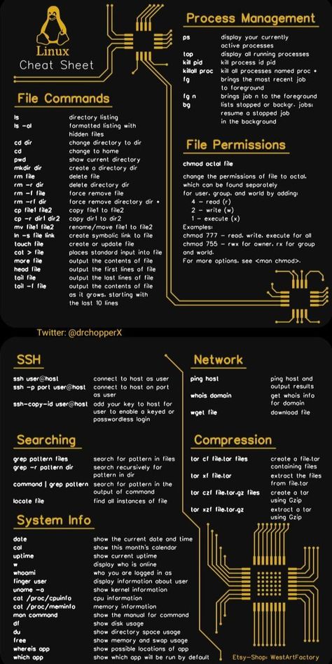 Linux Aesthetic, Linux Wallpapers, Cisco Networking Technology, Computer Science Women, Cybersecurity Infographic, Linux Commands, Learn Hacking, Basic Computer Programming, Computer Science Programming