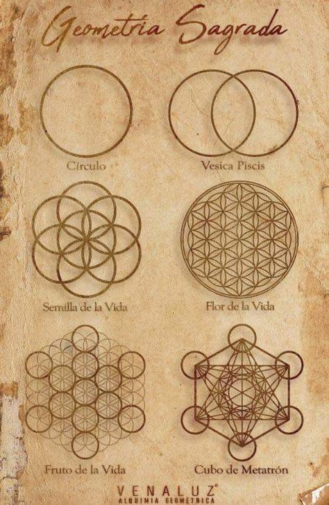 Word Tattoo Ideas, Sacred Geometry Patterns, Word Tattoo, Magia Das Ervas, Cool Tattoo, Sacred Geometry Symbols, Sacred Geometric, Sacred Geometry Art, Magick Book