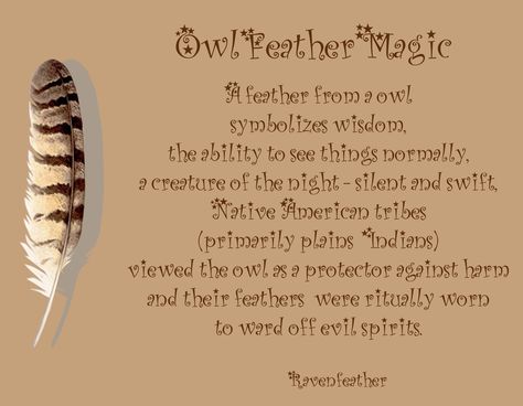 Owl feather magic                                                                                                                                                     More Archangel Nathaniel, Shamanic Reiki, Feather Magic, Hawk Feather, Feather Meaning, Hawk Feathers, Witch Spells, Eagle Feather, Owl Feather