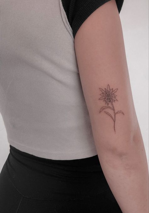 German Flower Tattoo, Eidlewiss Flower Tattoo, Austria Tattoo Ideas, Austrian Tattoo, Edelweiss Flower Tattoo, Fine Line Edelweiss Tattoo, Edelweiss Tattoo Simple, Eldeweiss Flower Tattoo, Edelweiss Drawing