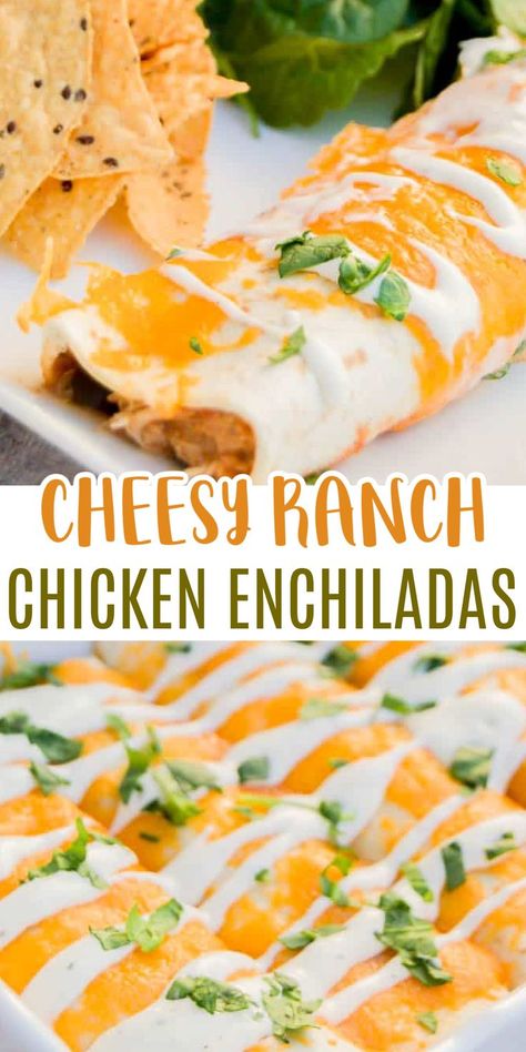 Ranch Enchiladas Chicken, Easy Cheesy Chicken Enchiladas, Ranch Chicken Enchiladas Easy, Chicken Bacon Ranch Enchiladas, Southwest Ranch Chicken, Kid Friendly Chicken Enchiladas, Cool Ranch Chicken, Ranch Enchiladas, Ranch Chicken Enchiladas