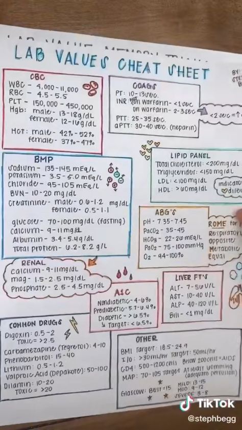 Nursing School Cheat Sheets Study Guides, Nclex Notes Aesthetic, Clinical Chemistry Notes, Phlebotomist Study Notes, Pharmacology Notes Aesthetic, Medical Assistant Study Guide, Medical Assistant Note Taking, Aesthetic Notes Nursing, Biochemistry Notes Nursing