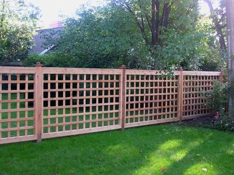 Lattice Fencing is a great way to dress up your front or backyard. It comes in wood, plastic and even metal. Enjoy the gallery! Lattice Privacy Fence, Lattice Fence Panels, Cheap Garden Fencing, Metal Garden Fencing, Fence Options, Decorative Garden Fencing, Deer Fence, Privacy Fence Designs, Cheap Fence