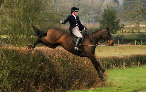 Swapping hunting country for Aintree: Meet the RoR Racing to Hunting Challenge finalists https://trib.al/QpemHcw National Hunt Racing, Horse Drawing, Enjoying Life, Horse Photography, Horse Racing, Dressage, Enjoy Life, Riding Helmets, Hunting