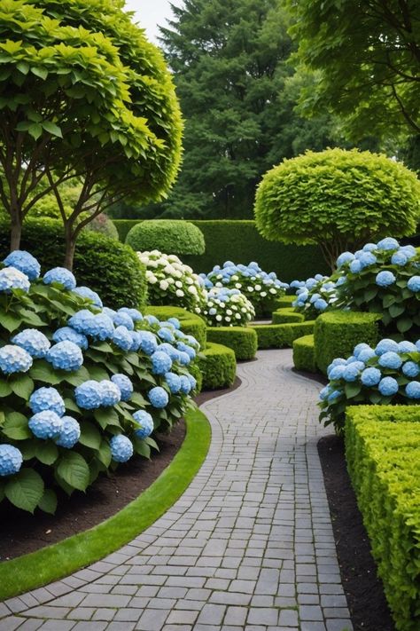 Backyard Hydrangea Landscaping, Blue And White Hydrangea Garden, Hydrengas Garden Ideas, Hydrangeas In Front Of House, European Gardens, Design A Garden, Stunning Gardens, Hydrangea Landscaping, Tattoo Plant