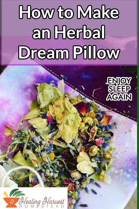 Did you know herbs can help you sleep and dream? This is an easy dream pillow recipe that you can tuck inside your pillow. It is made with rose, hops and lavender so you're guarenteed to have a beautiful night's rest. I even top mine off with sleep inducing essential oils for the extra boost! #naturalsleep #sleepaids #herbalism #plantmedicine #bettersleep Herbal Dream Pillows, Dream Pillows Herbal Diy, Herbal Pillow, Herbal Sleep Pillows, What Is A Dream, Good Dreams, Potpourri Recipes, Best Herbal Tea, Dream Pillow