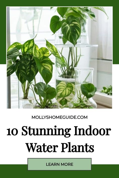 Explore the world of indoor gardening with these beautiful water plants that grow effortlessly in vases. Discover the best water plants for your home, including spider plants and other easy-to-care-for options. Transform your space with zero-maintenance houseplants that thrive without soil. Dive into a new way of nurturing greenery with aquatic plants perfect for transitioning from soil to water. Get inspired by innovative indoor gardening ideas and create a tranquil oasis with stylish indoor pl Self Watering Indoor Plants, Aquatic Plants Indoor Water Garden, Best Plants To Grow In Water, Bathroom Window Plants, Plants In Water Vase, Plants That Grow In Water Indoor, Hydroponic Plants Indoor, Rice Water For Plants, Houseplants In Water