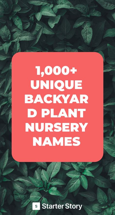 Greenhouse Name Ideas, Plant Business Name Ideas, Plant Shop Name Ideas, Plant Shop Names, Unique Backyard, Store Names Ideas, Plant Business, Odd Names, Shop Name Ideas