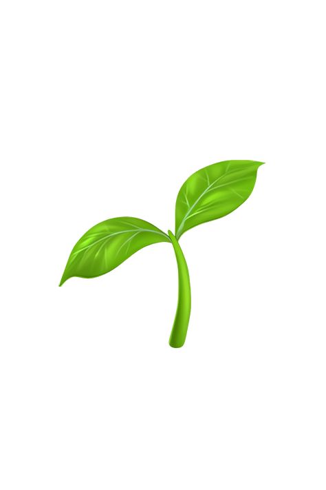 Matcha Emoji, Spring Emojis, Plant Icons, Grape Emoji, Tree Emoji, Emoji Flower, Green Emoji, Grass Png Hd, Apple Emojis