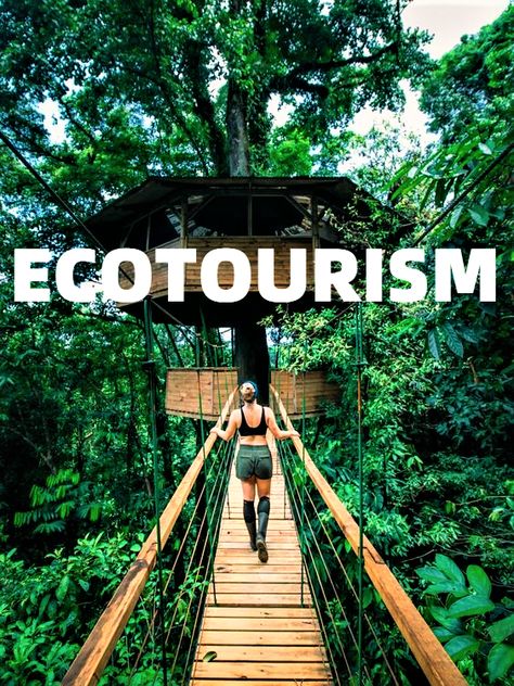 Eco Tourism, Save Nature, Eco Lodge, Garden Types, Eco Friendly Travel, Eco Friendly Living, Sustainable Travel, Gardening Supplies, Natural Environment